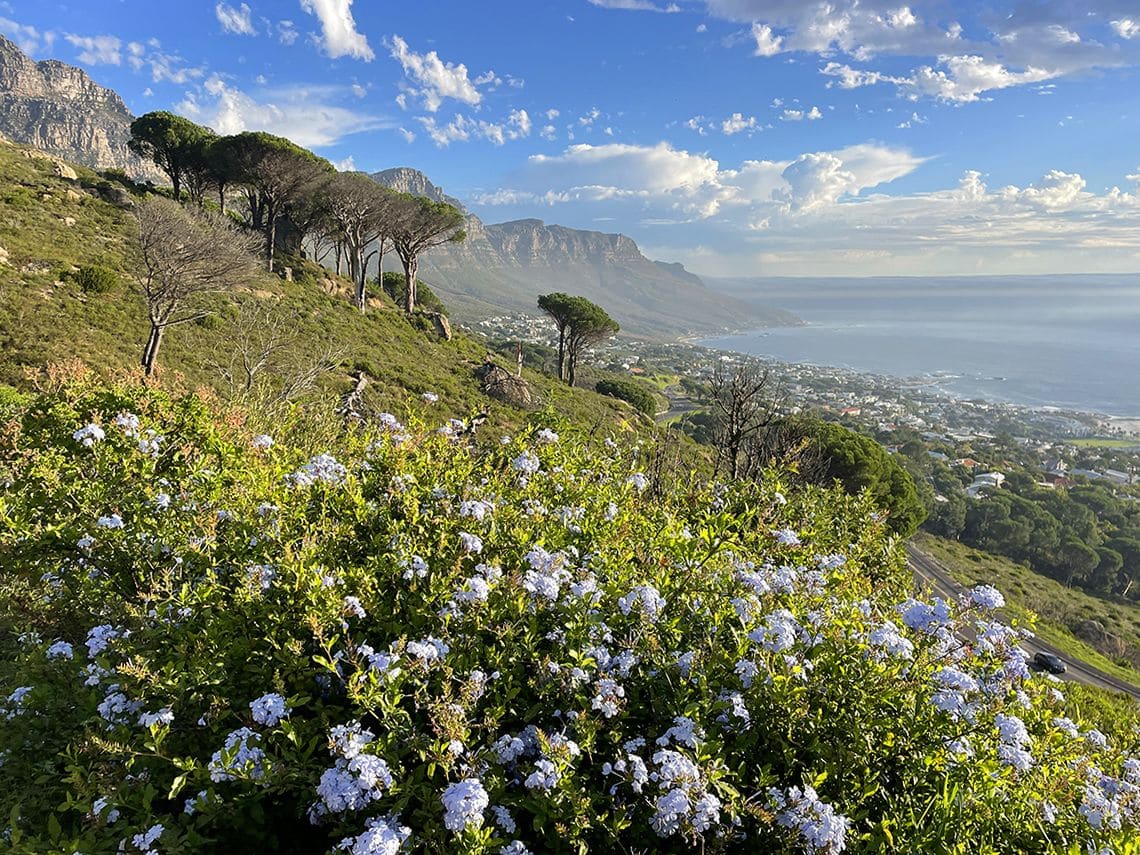 camps bay ciudad del cabo