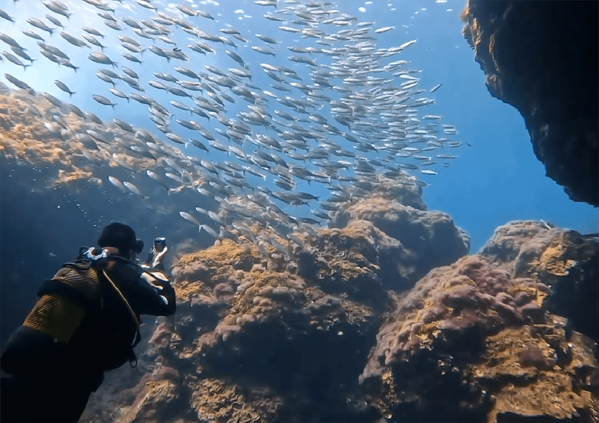 buceo en el hierro