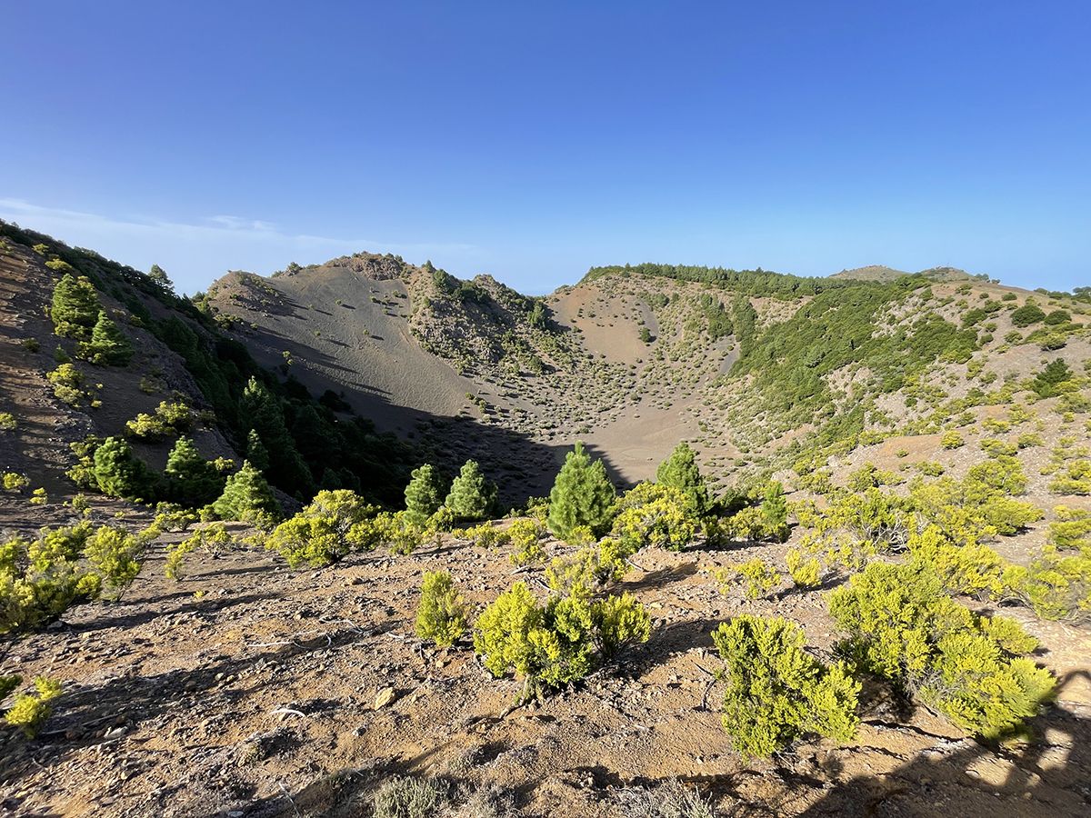 que ver en el hierro canarias en 3 o 4 dias (6) bosque y mirador el hierro