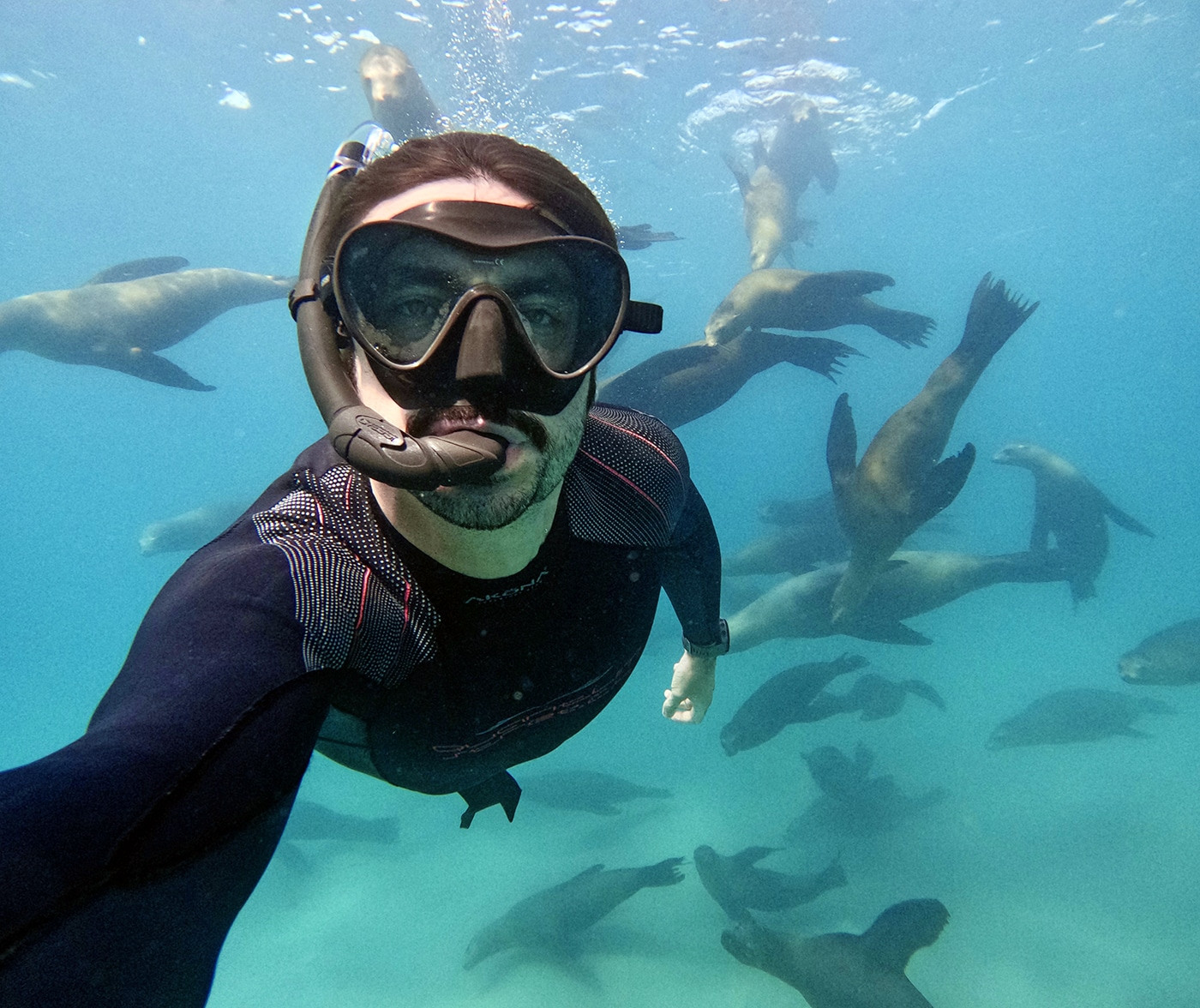 snorkel con leones marinos baja california