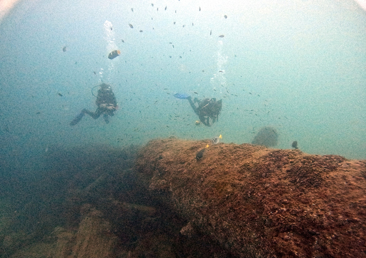 bucear en cabo san lucas
