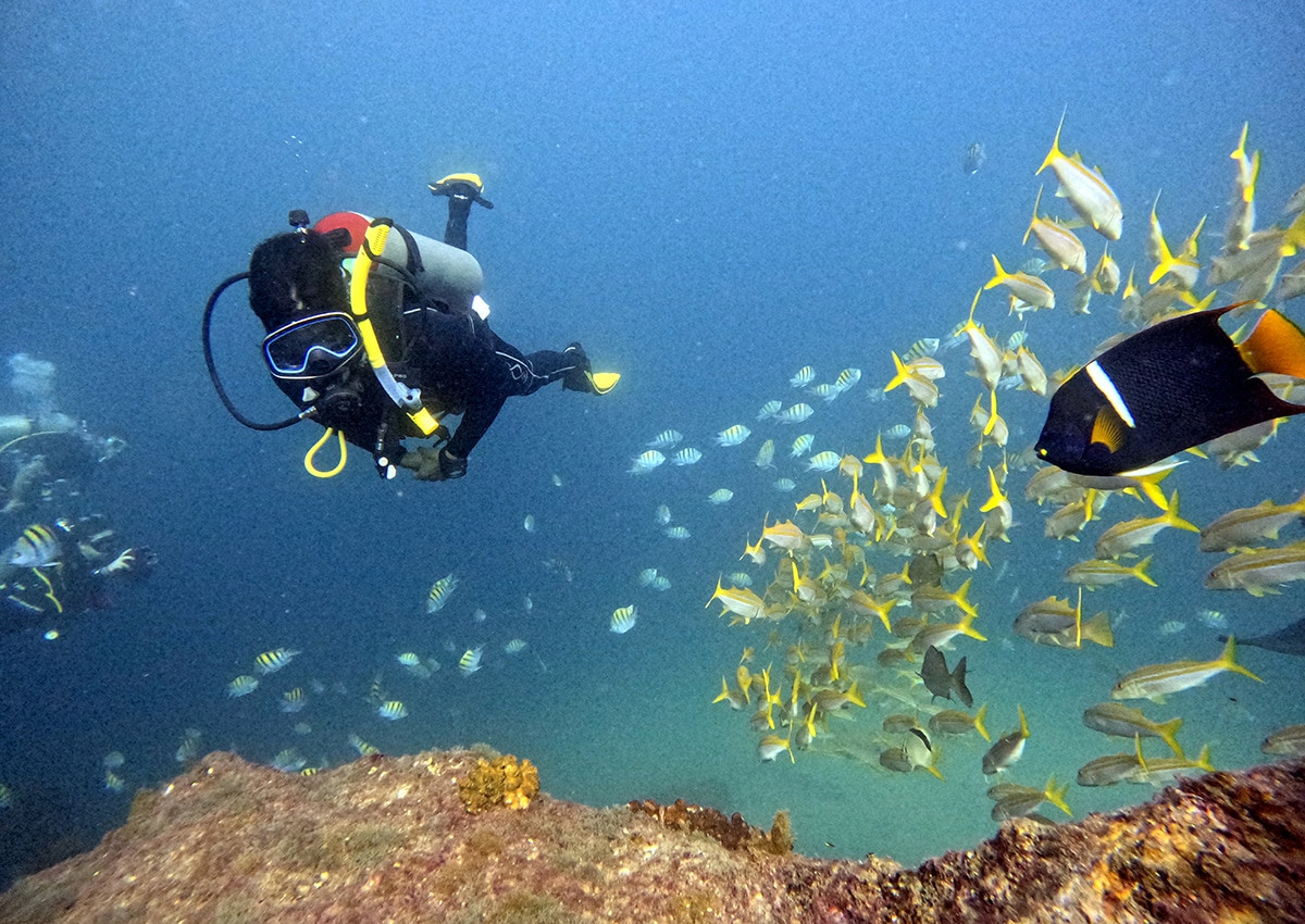 buceo en cabo san lucas