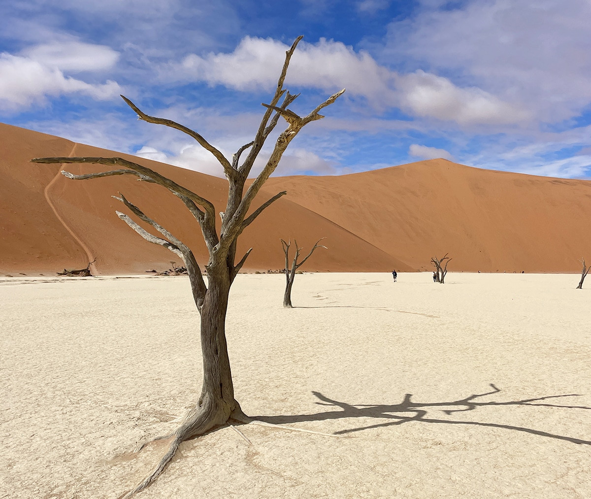 deadvlei desierto del namib