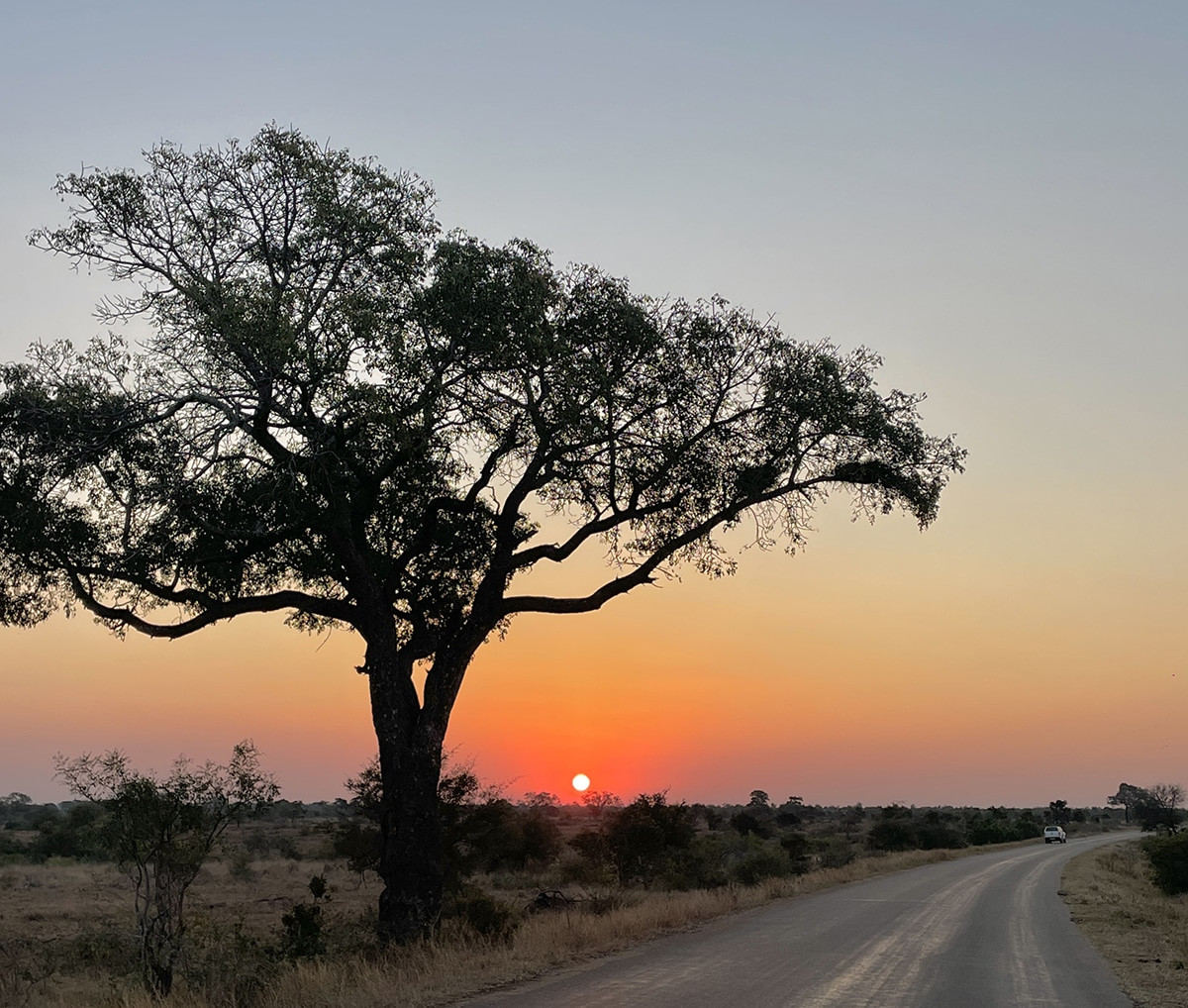 atardecer en el parque nacional kruger por libre