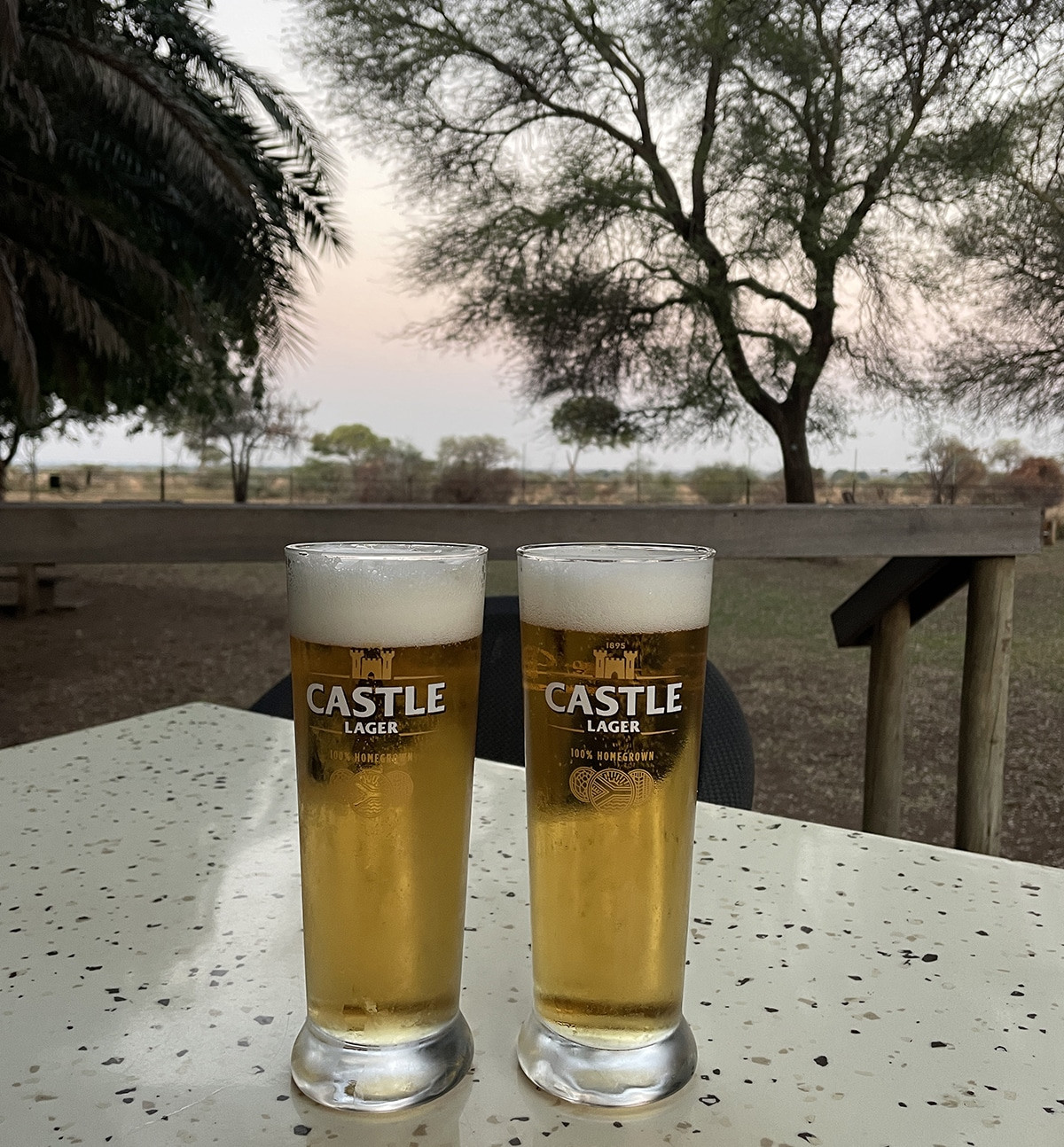 cervezas kruger por libre safari