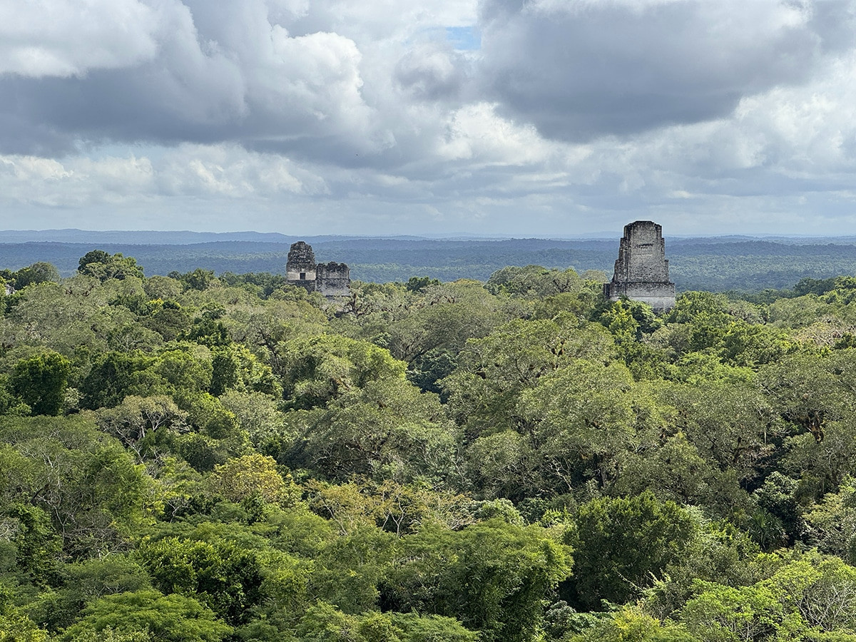 como visitar tikal desde flores por libre