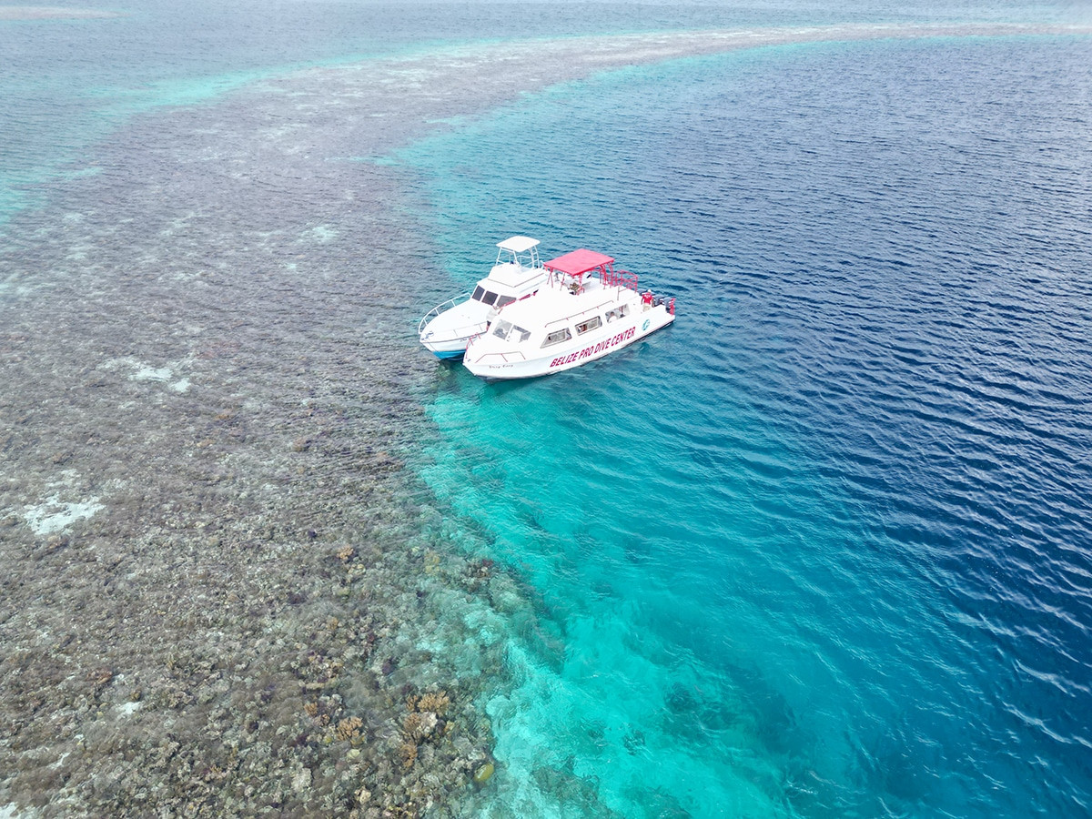 bucear en el blue hole de belice