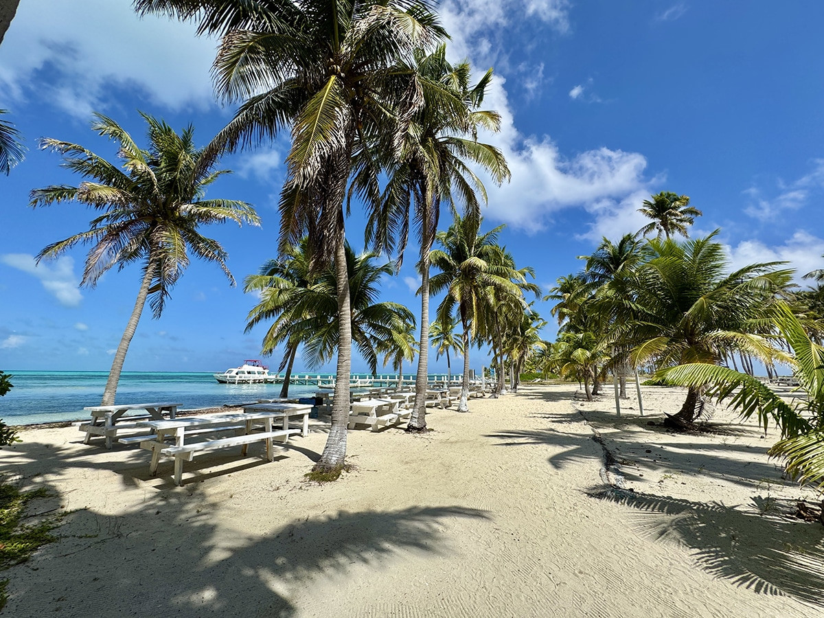 playas san pedro belice