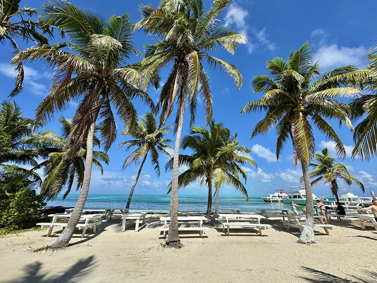 half moon caye belice