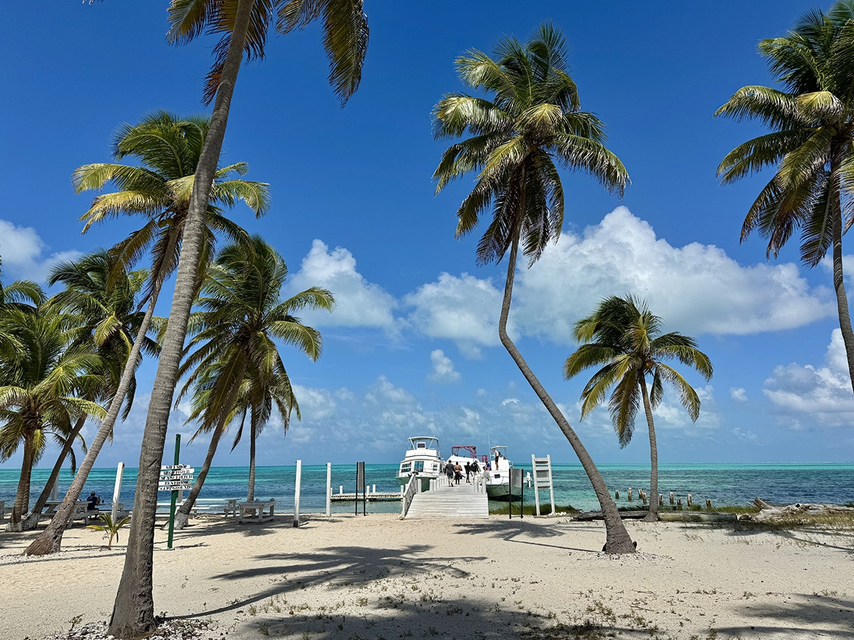 half moon caye belice