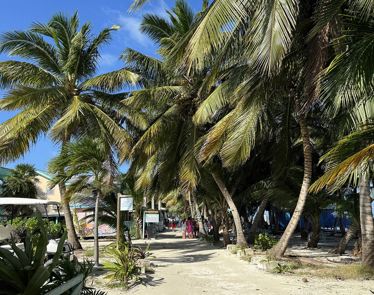 que hacer en cayo caulker en 3 días por libre