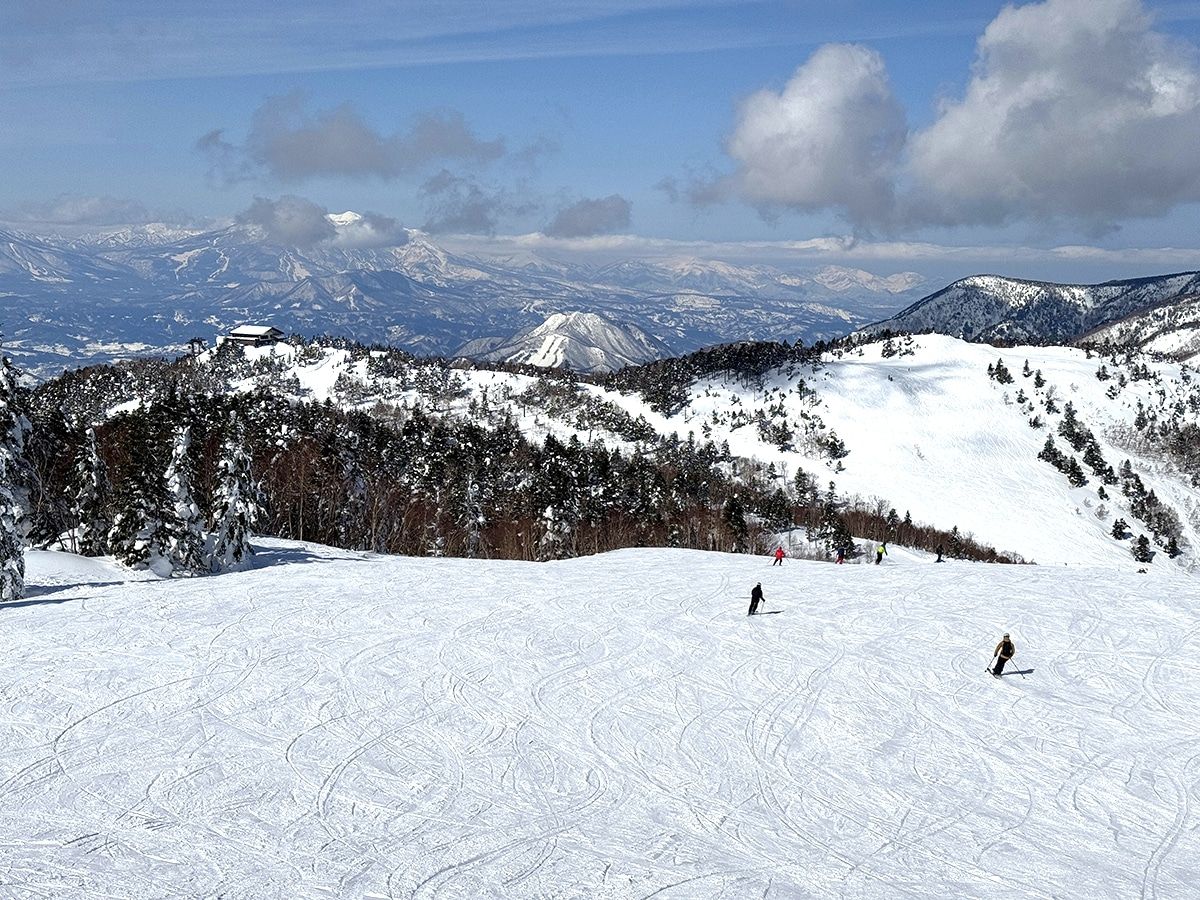 shiga kogen estacion de esqui