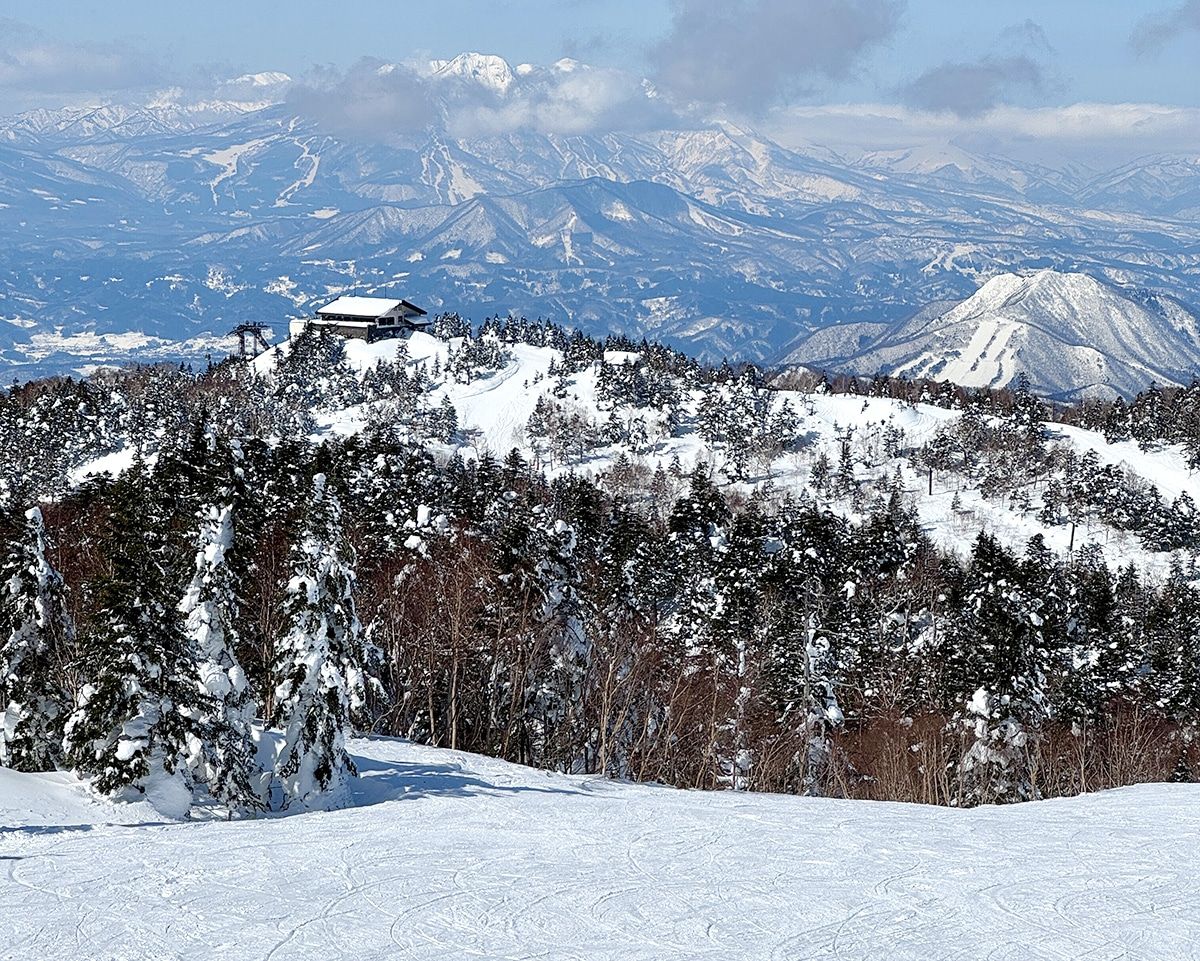 shiga kogen estacion de esqui