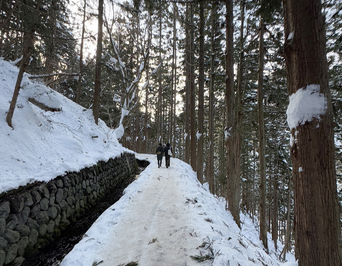 paisajes shiga kogen