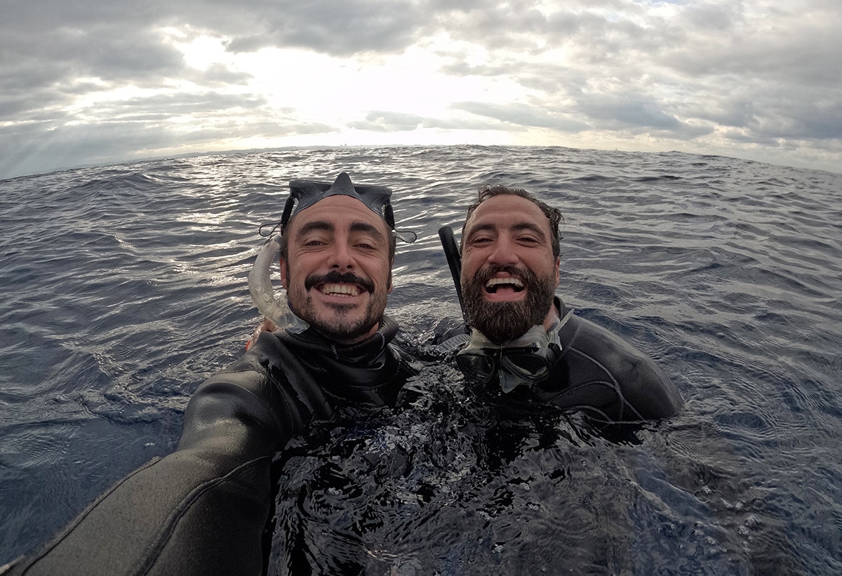 nadar con ballenas en okinawa