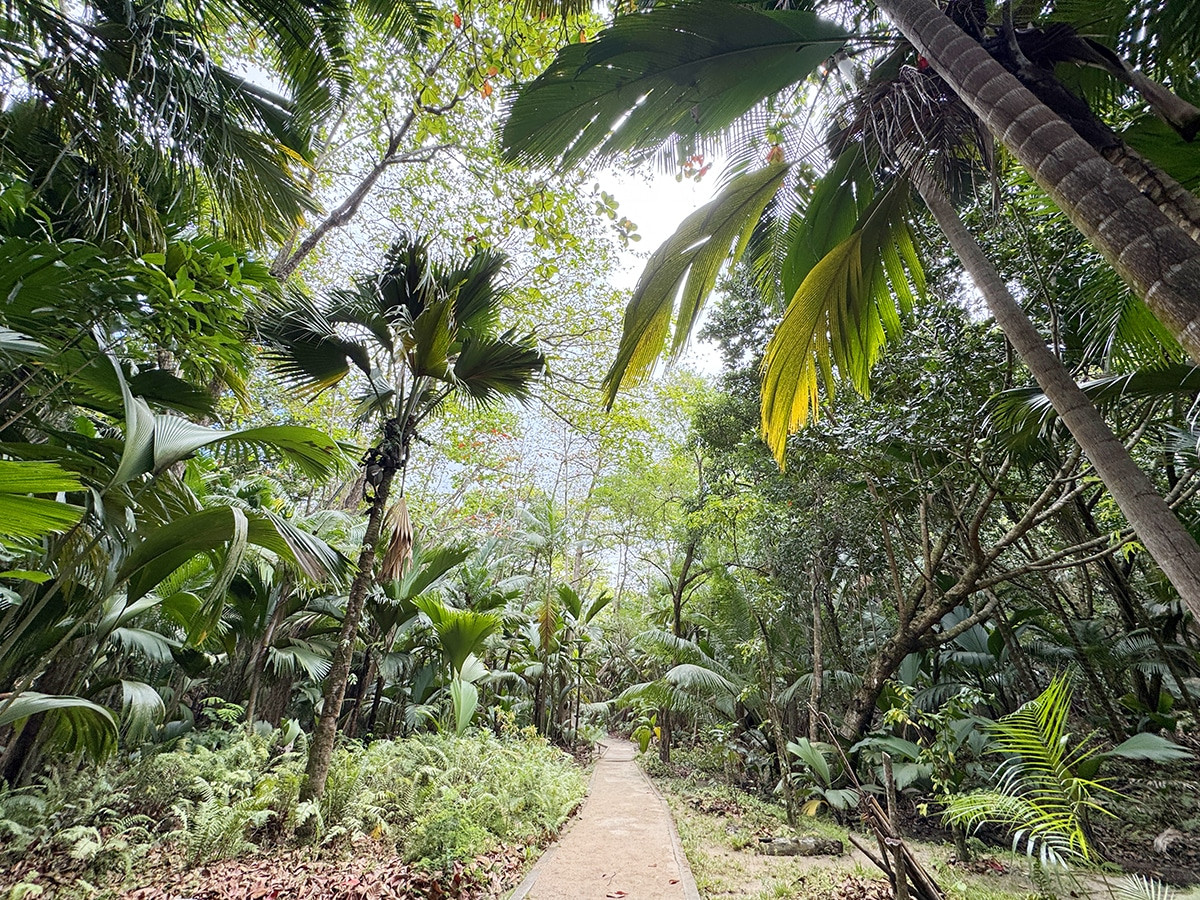 fond ferdinand en praslin coco de mer trekking