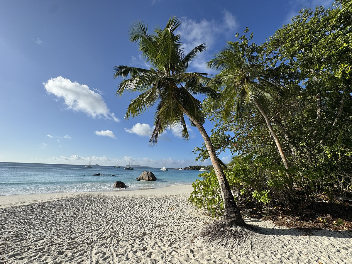 anse lazio praslin