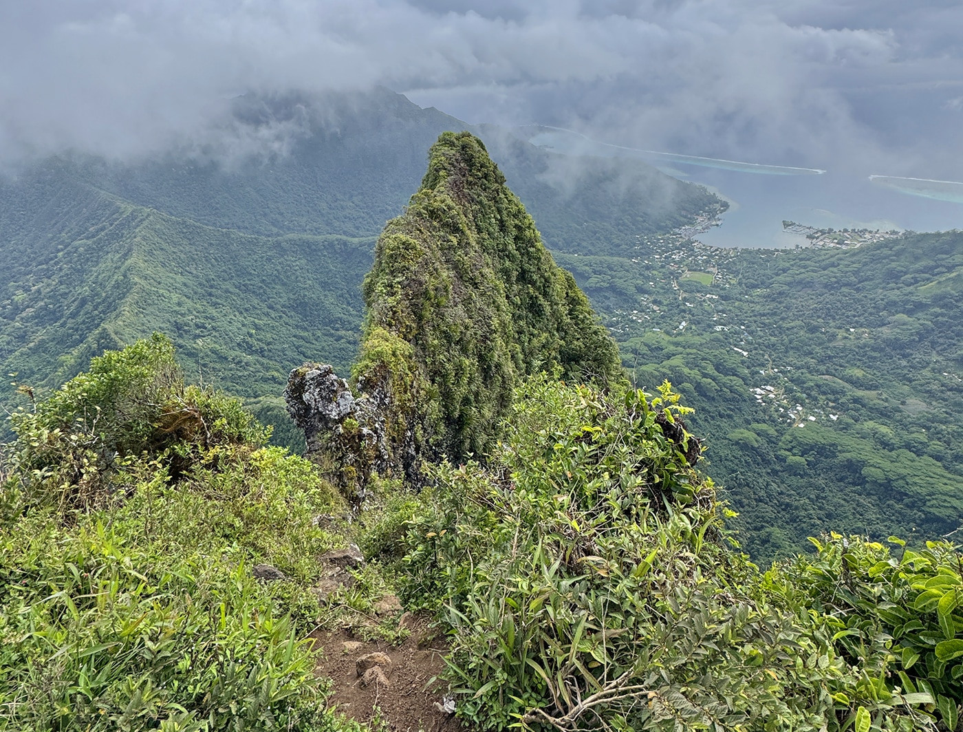monte moaputa moorea