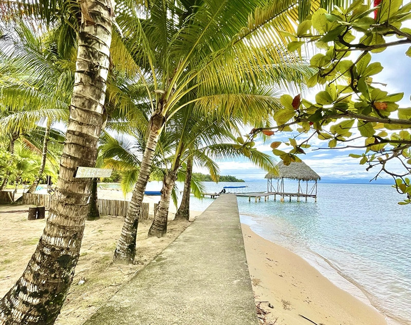 que hacer en bocas del toro panama por libre (2)