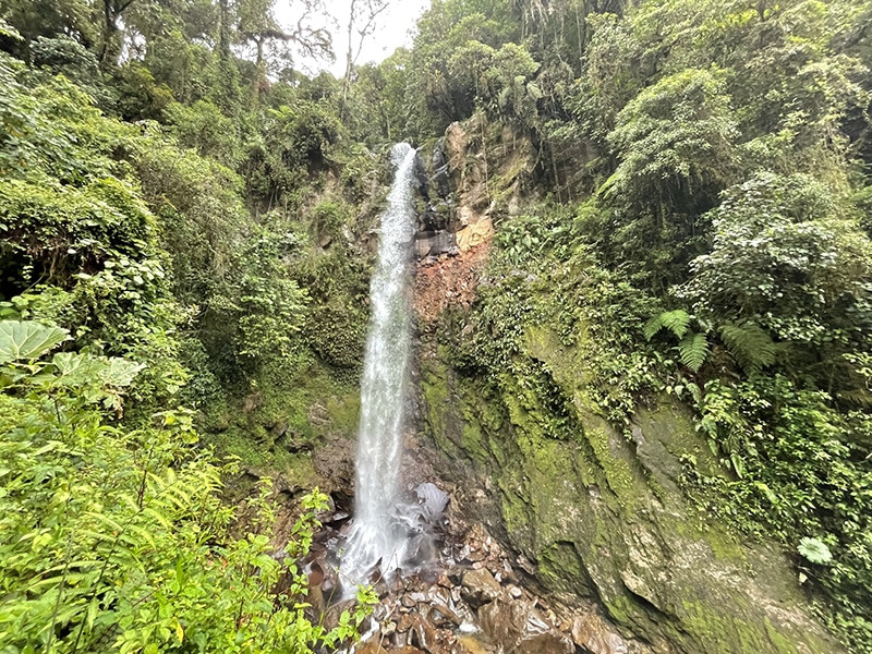 cascada boquete