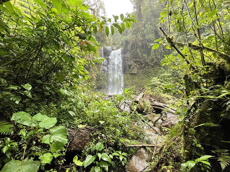 cascada panama