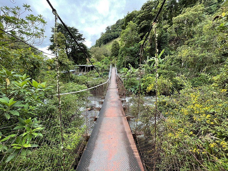 puente boquete panama