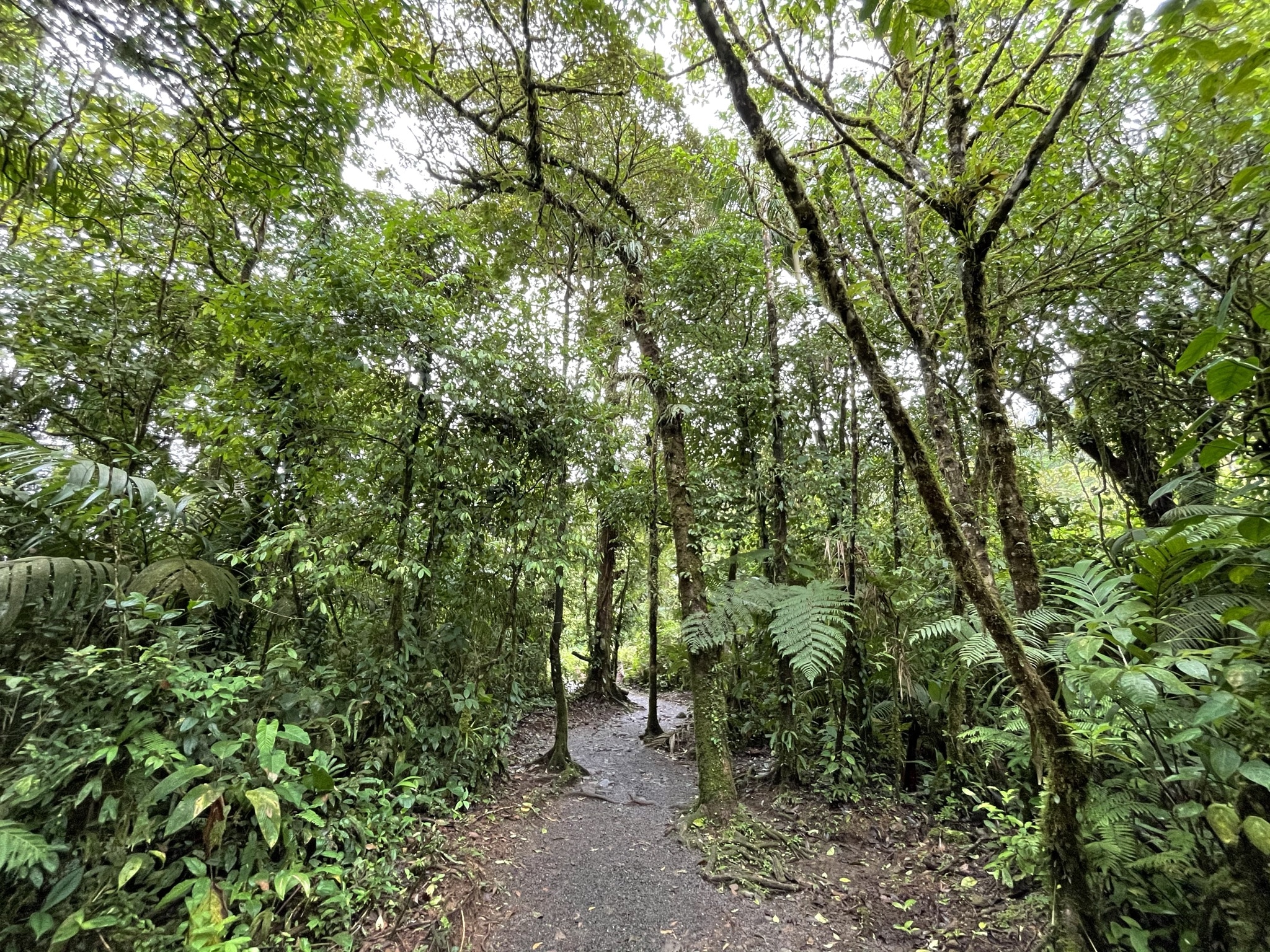 que hacer en la fortuna costa rica por libre