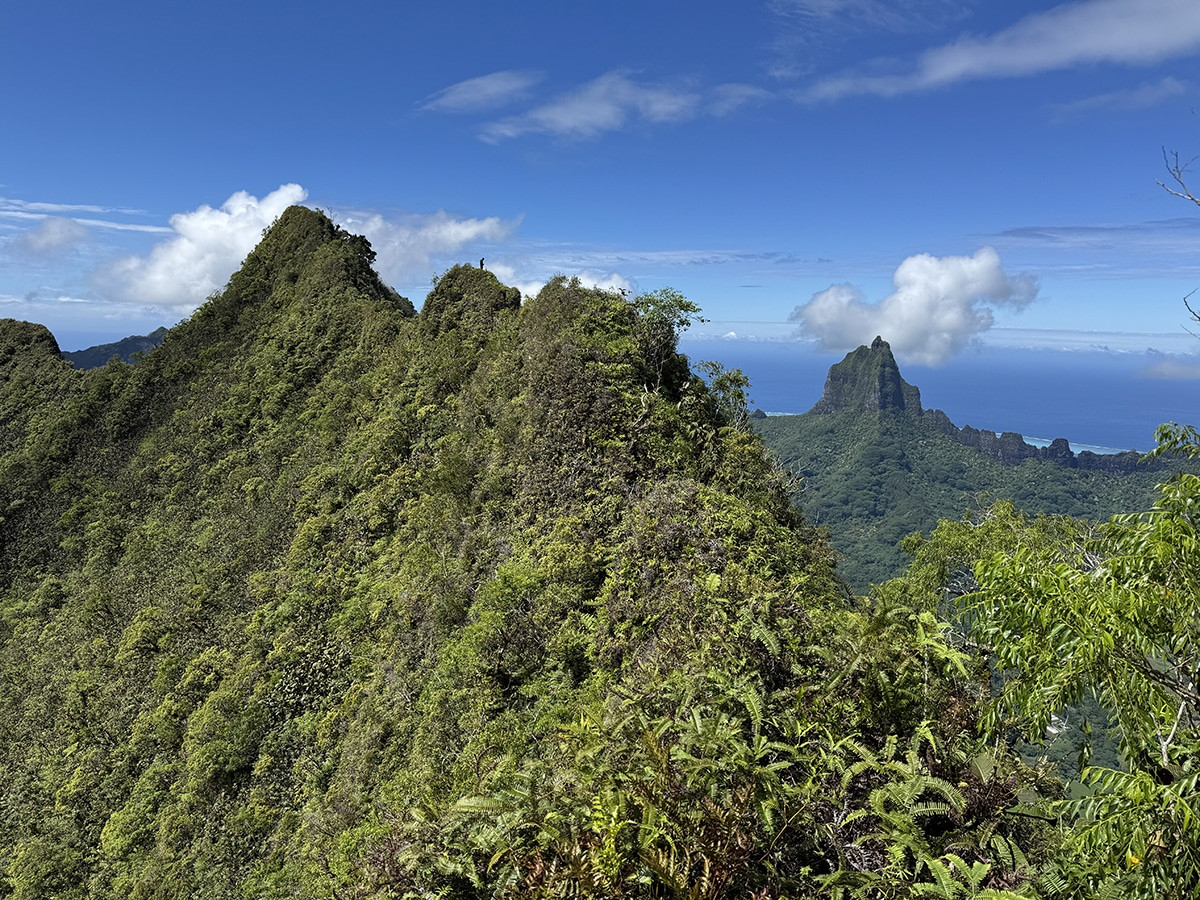 que hacer en moorea