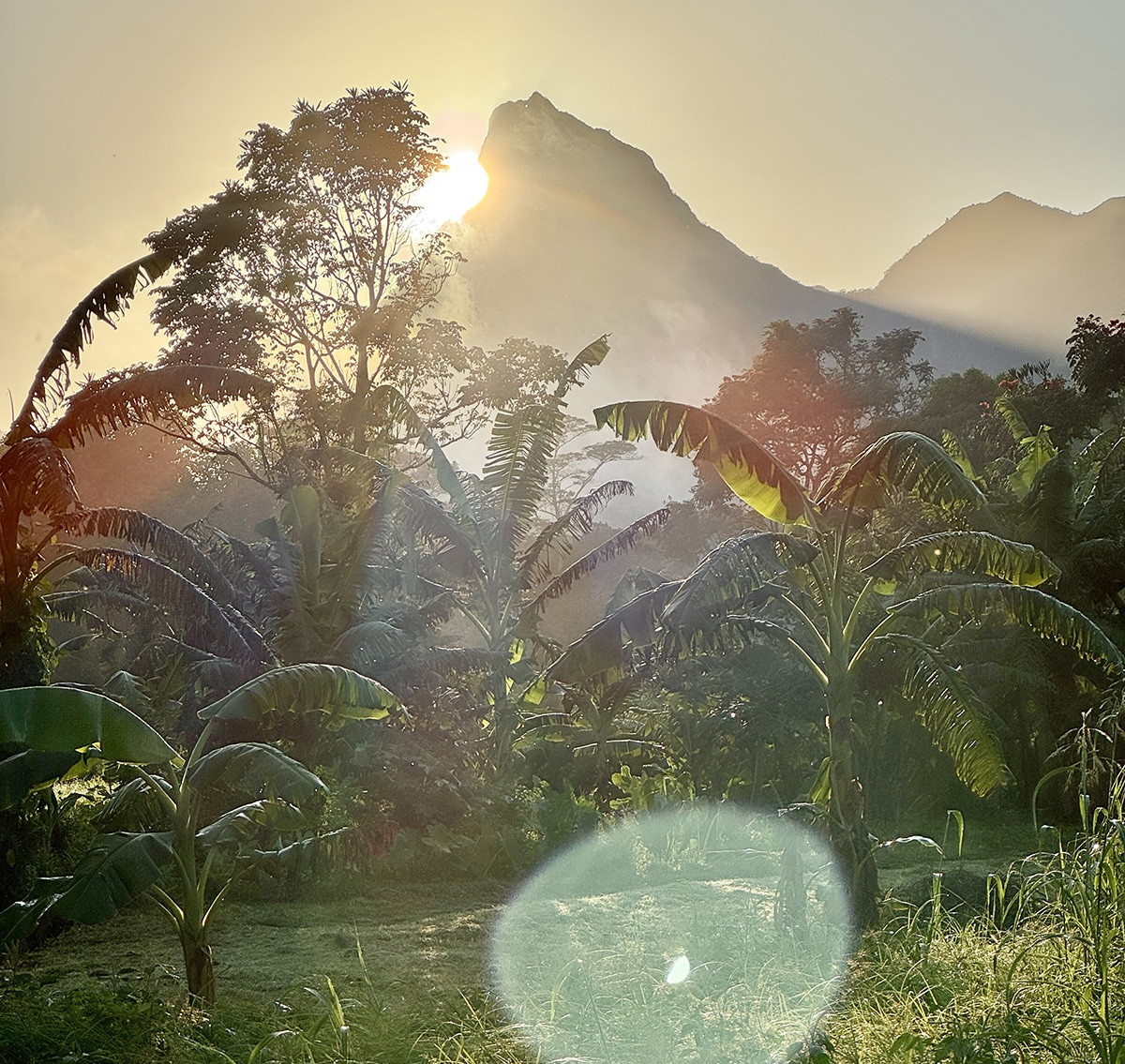 que hacer en moorea polinesia francesa