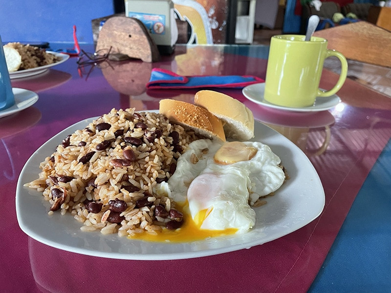 donde comer en tortuguero costa rica
