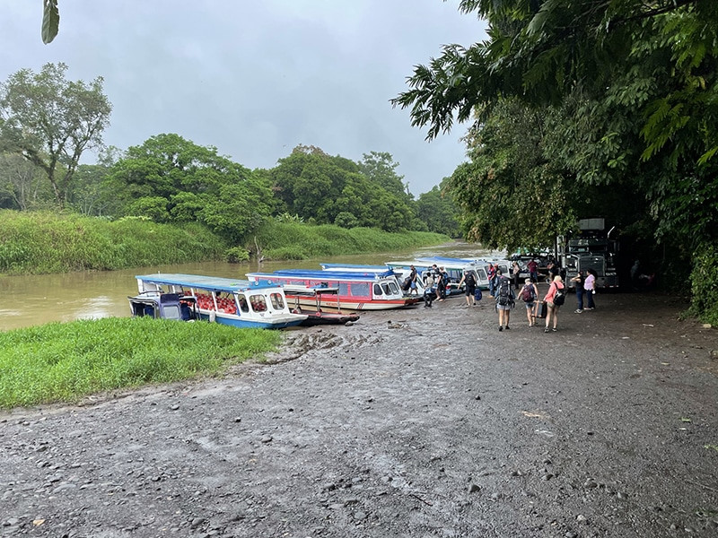 que hacer en tortuguero