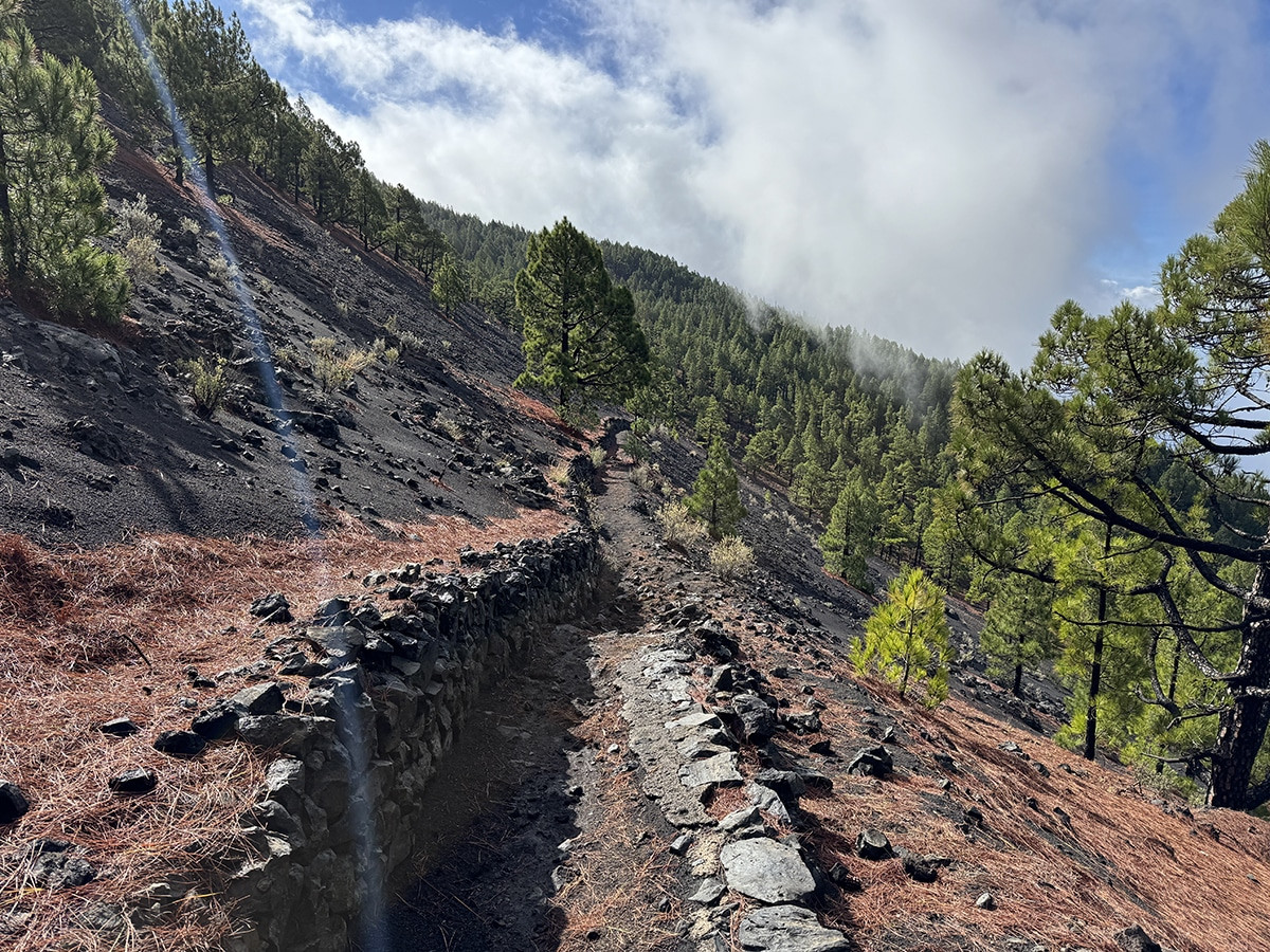 que hacer en la palma por libre 