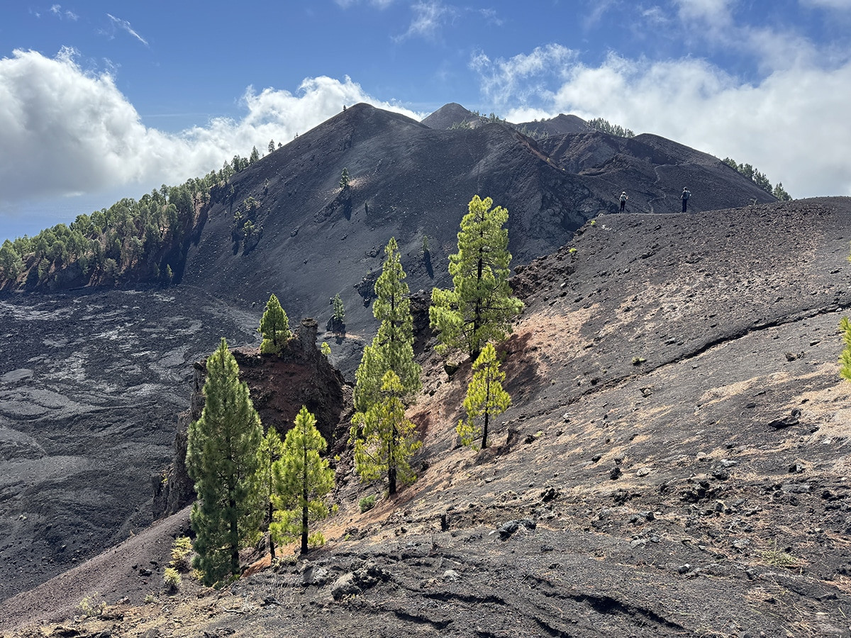 que hacer en la palma por libre
