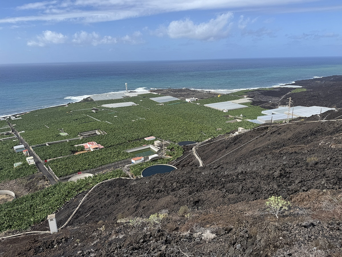 que hacer en la palma por libre 
