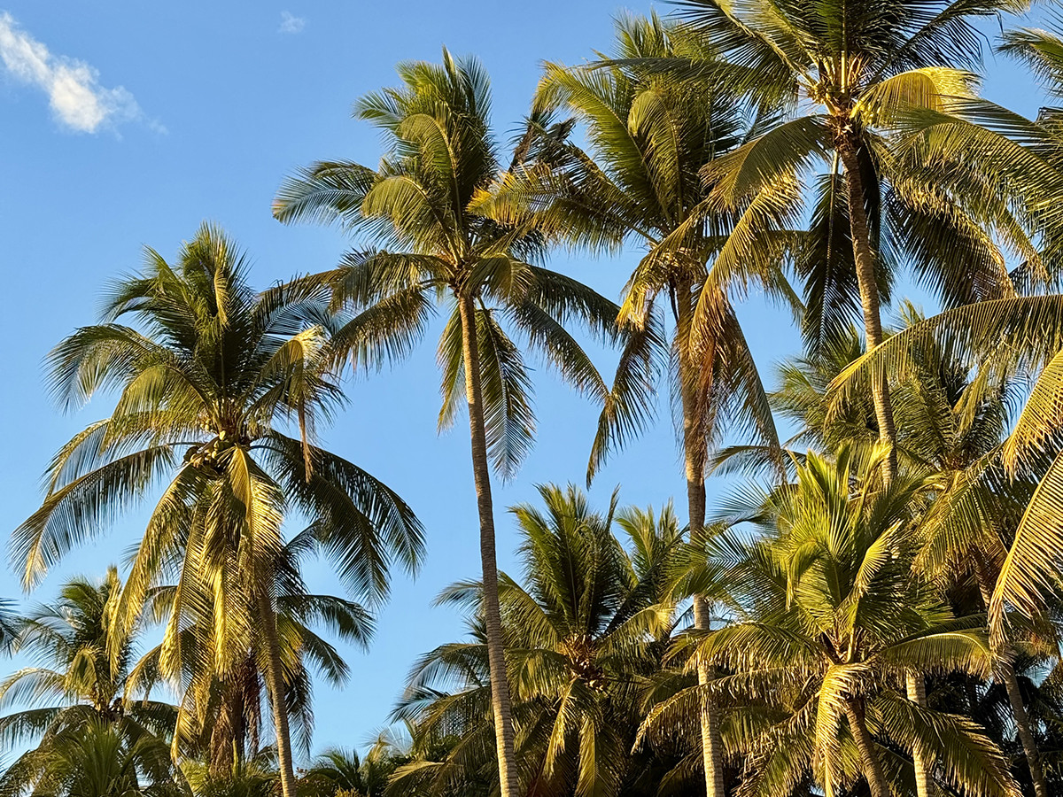 mejores playas el salvador